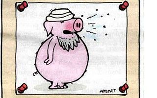 bearded-pig