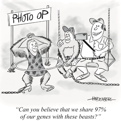 Achaz von Hardenberg