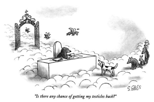 Sam Gross cartoon
