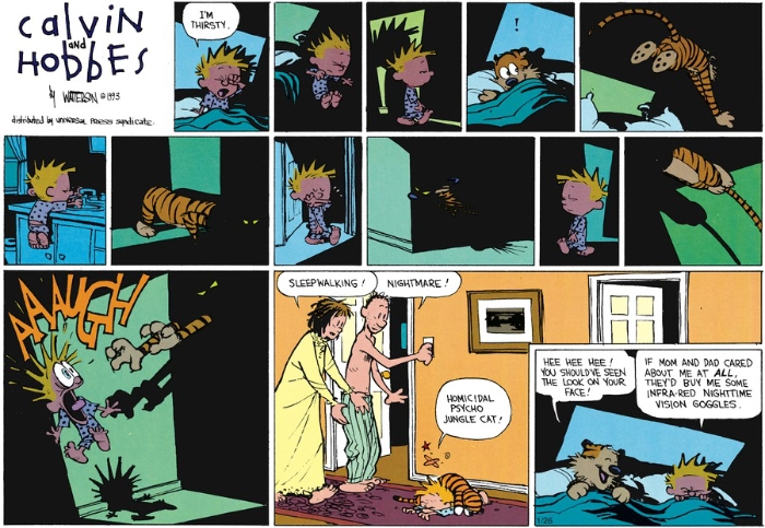Bill Watterson's Calvin and Hobbes strip introducing Homicidal Psycho Jungle Cat Sunday Strip
