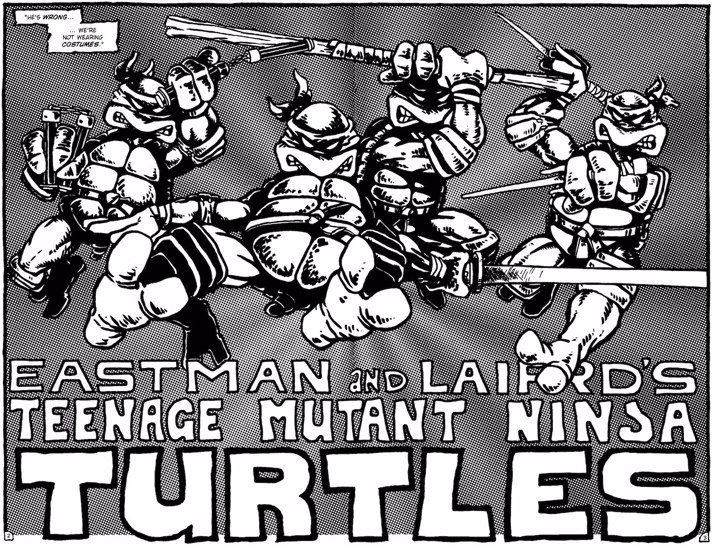 Teenage Mutant Ninja promo