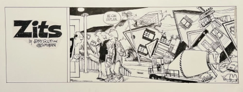 Zits comic from 2009 by Jim Borgman and Jerry Scott