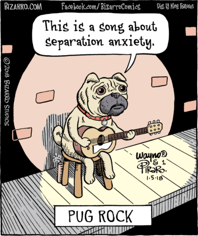 Bizarro Bizarro