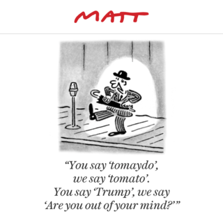 Matt Matt