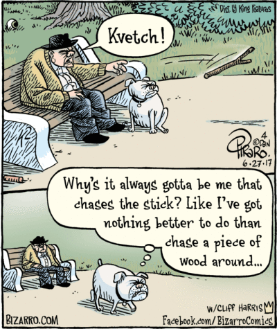 Bizarro Bizarro