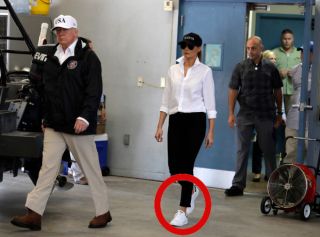 Trump-harvey1