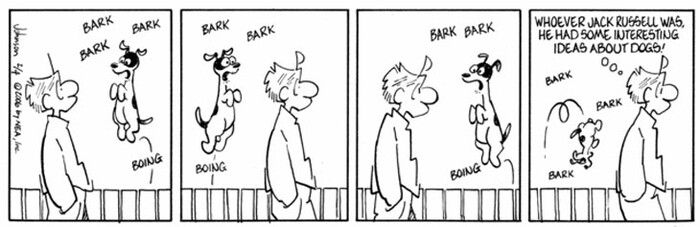 2005-02-04-jack-russell