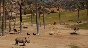 Zoo